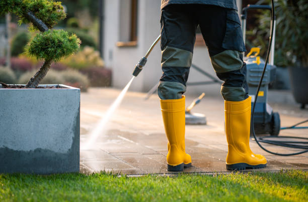 Best Window Cleaning in Story City, IA